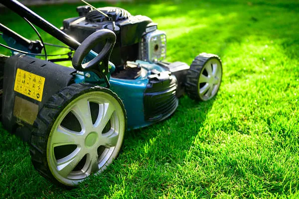 Arizona Lawn King Inc Photo 2
