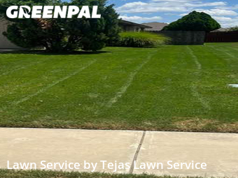 Yard Mowing nearby Austin, TX, 