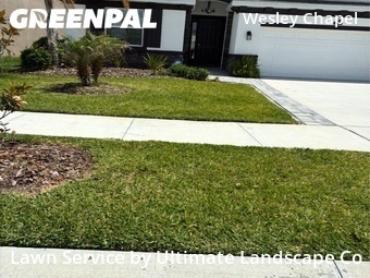 Grass Cut nearby Wesley Chapel, FL, 