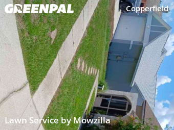 Grass Cutting nearby Tampa, FL, 