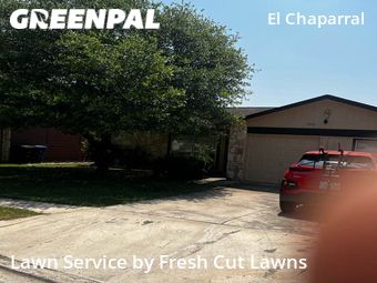Lawn Cut nearby San Antonio, TX, 