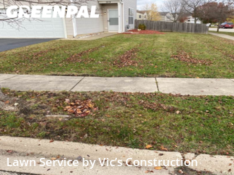 Lawn Maintenance nearby Joliet, IL, 