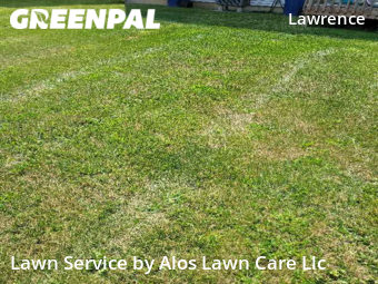 Lawn Maintenance nearby Indianapolis, IN, 