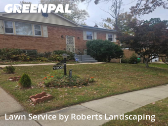 Lawn Cut nearby District Heights, VA, 