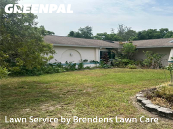 Grass Cut nearby Spring Hill, FL, 
