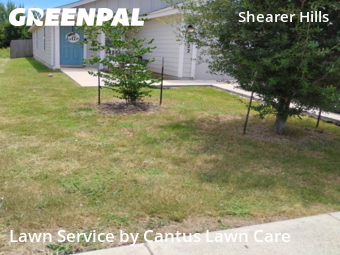 Lawn Cut nearby San Antonio, TX, 