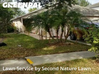 Lawn Care nearby Riverview, FL, 