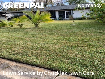 Yard Cutting nearby Jacksonville, FL, 