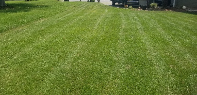 Yard mowing company in Pensacola, FL, 32505