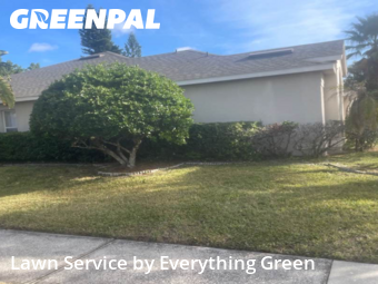 Lawn Cut nearby Orlando, FL, 
