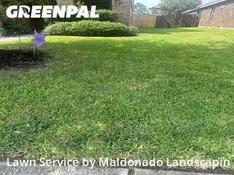 Lawn Care Service nearby Houston, TX, 