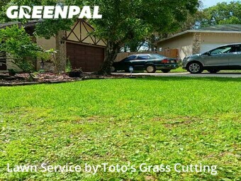 Lawn Cut nearby Wekiwa Springs, FL, 