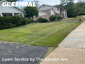 Lawn Mowin Chesterfield,63017,Lawn Cutting by The Garden Ant , work completed in Dec , 2025