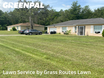 Grass Cutting nearby Belleview, FL, 