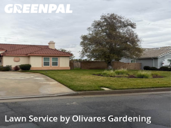 Work completed by local-lawn-and-landscape-maintenance-services-near-me-in-Palmdale-CA