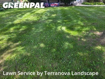Property Maintenance in Lisle, 60532, Grass Services by Terranova Landscape, work completed in Nov , 2025