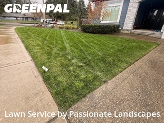 Lawn Care nearby Newcastle, WA, 