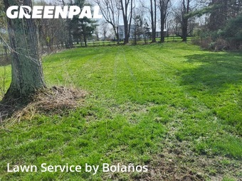 Lawn Cut nearby Delaware, OH, 
