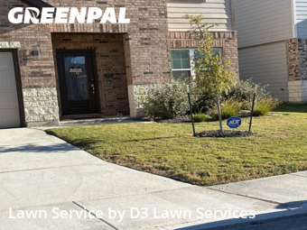 Affordable Landscaping In San Antonio,78253,Landscaping Services by D3 Lawn Services, work completed in Nov , 2025