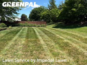 Lawn Cutting nearby Ypsilanti Charter Township, MI, 