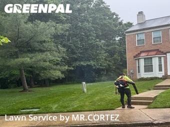 Lawn Mowing nearby Silver Spring, MD, 
