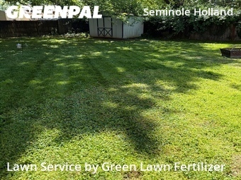 Yard Cutting nearby Springfield, MO, 