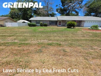 Yard Mowing nearby Ocala, FL, 