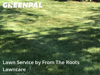 Lawn Cut nearby Wheaton, IL, 