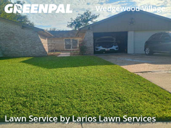 Lawn Carein Friendswood,77546,Grass Cutting by Larios Lawn Services, work completed in Nov , 2025