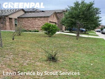 Grass Cut nearby Converse, TX, 