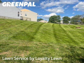 Lawn Mow nearby Lexington, KY, 