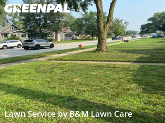 Lawn Mowing Service nearby Lansing, IL, 