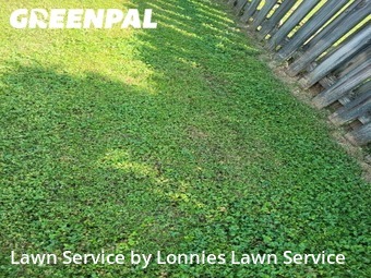 Lawn Care nearby Nashville, TN, 
