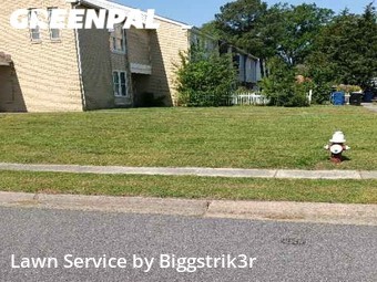 Lawn Care Service nearby Virginia Beach, VA, 