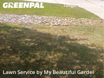 Yard Cutting nearby Aurora, CO, 