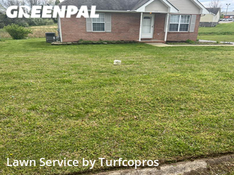 Yard Mowing nearby Springfield, TN, 