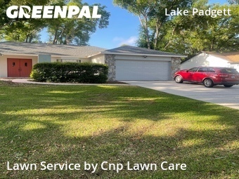 Lawn Cut nearby Land O' Lakes, FL, 