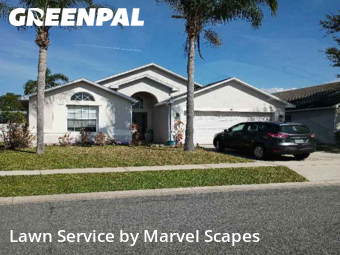 Lawn mowed in Kissimmee, 34746