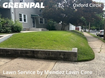 Lawn mowed in Philadelphia, 19111