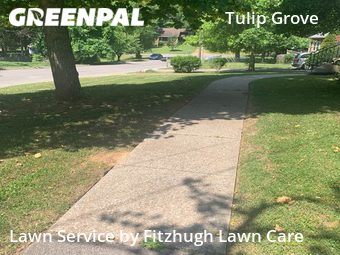 Lawn Maintenance nearby Nashville, TN, 