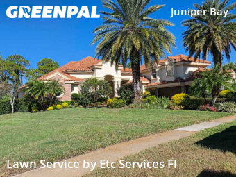 Lawn Maintenancein Palm Harbor,34685,Grass Cutting by Etc Services Fl, work completed in Jan , 2026
