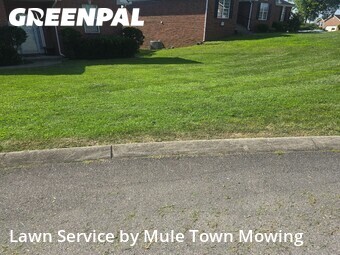 Lawn Care nearby Smyrna, TN, 