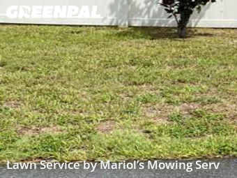 Grass Cutting nearby Largo, FL, 