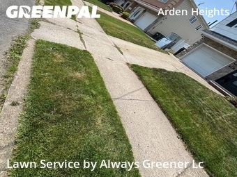 Lawn mowed in Staten Island, 10312