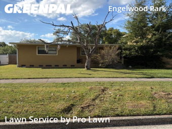 Landscaping In Orlando,32807,Landscaping Renovation by Pro Lawn, work completed in Nov , 2025
