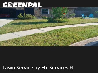 Lawn Maintenancein Dunedin,34698,Yard Mowing by Etc Services Fl, work completed in Jun , 2026
