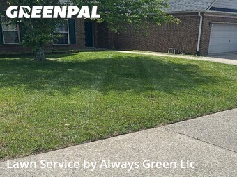 Lawn Cut nearby Lexington, KY, 