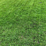 local-lawn-and-landscape-maintenance-services-near-me-in-Waukesha-WI