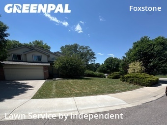 Lawn mowed in Fort Collins, 80525
