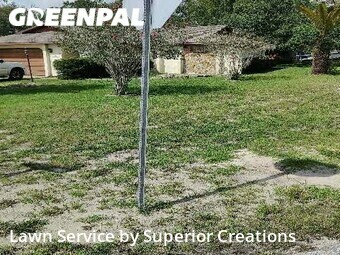Grass Cut nearby Spring Hill, FL, 